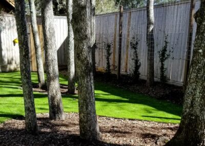 Bayou City Beautiful Lakeside Forest Turf