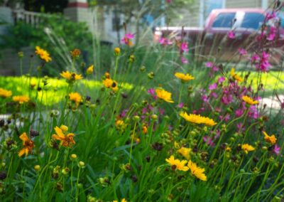 Bayou City Beautiful Strip Planting