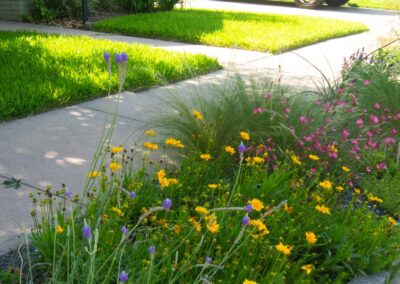 Bayou City Beautiful pathway